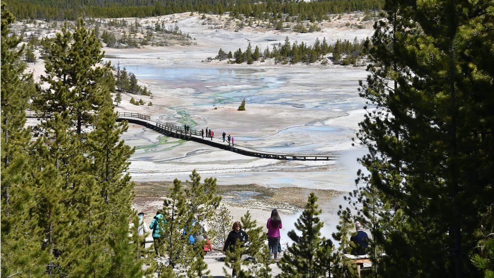 A view of the Norris Geyser Basin at Yellowstone National Park on May 12, 2016.