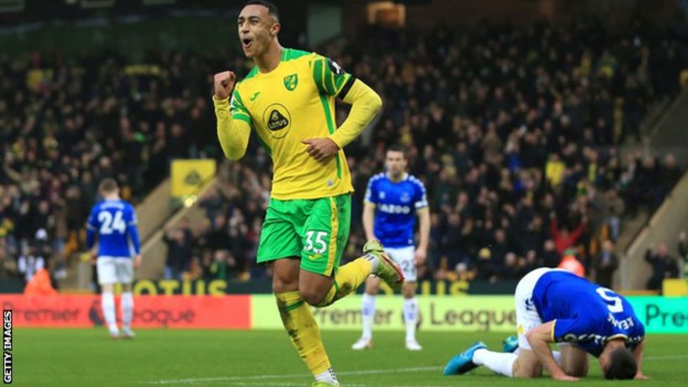 Norwich City 2-1 Everton: Canaries End Losing Streak To Pile More ...