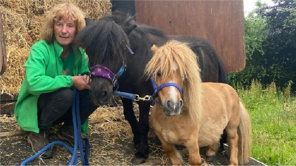 A volunteer with the two ponies