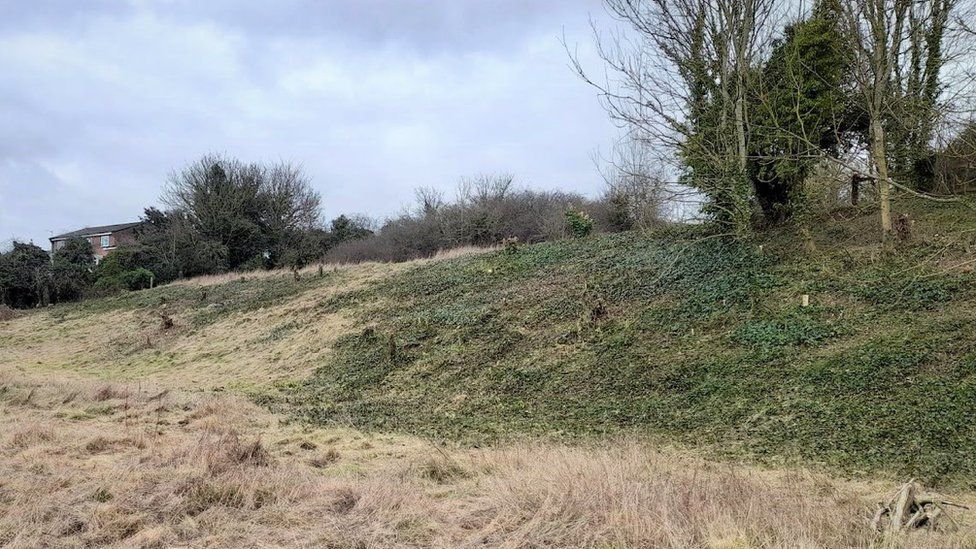 The medieval earthworks at Southmill Hill are becoming visible again