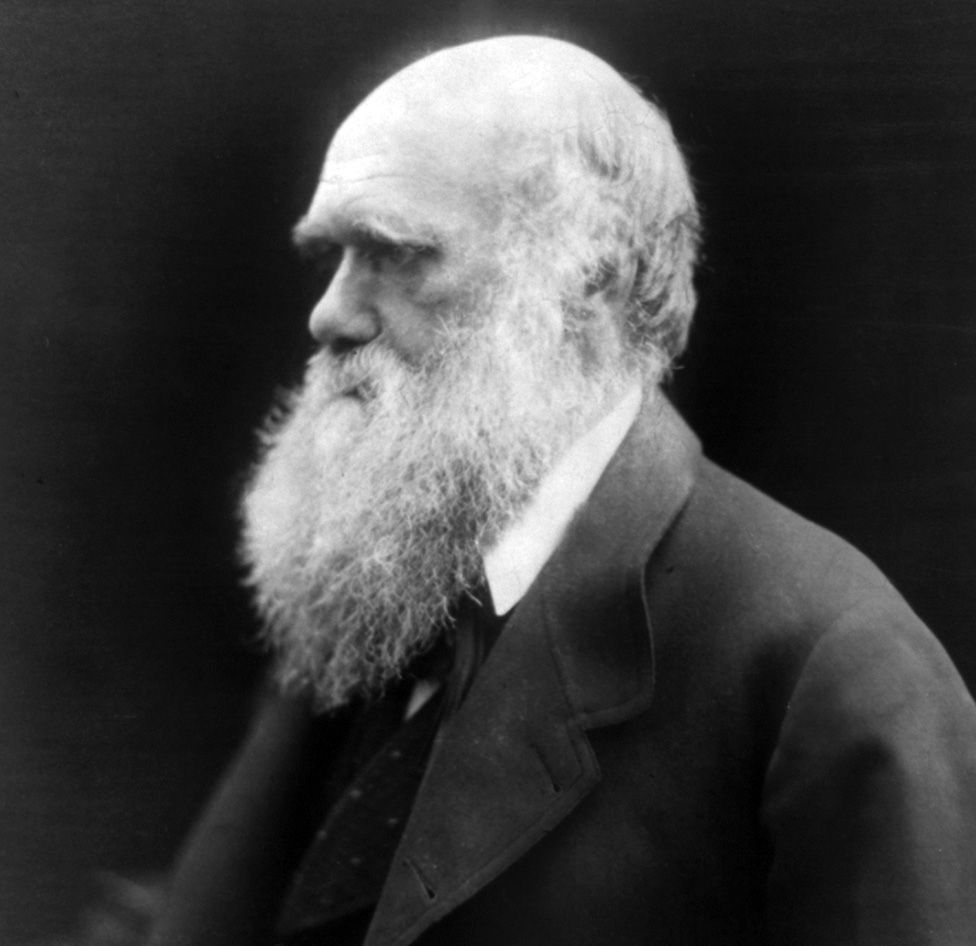 Charles Darwin: Autographed document could fetch record price - BBC News