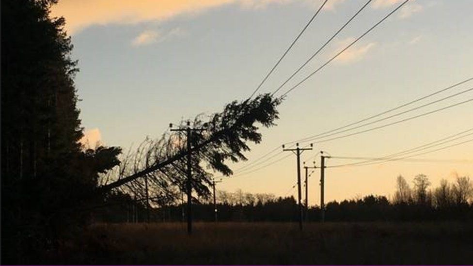 A tree fell on power lines between Bonnybridge and Cumbernauld