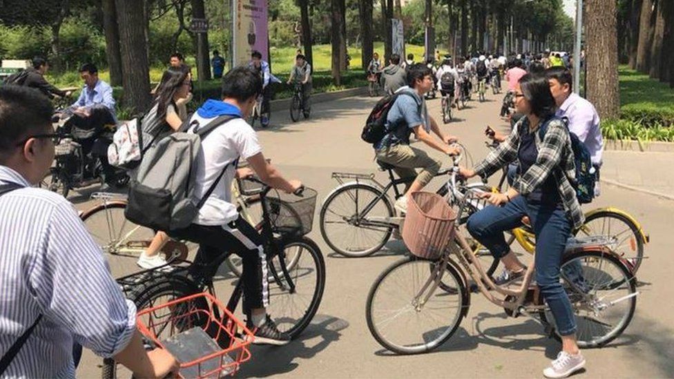 Bike-sharing bikes in Shanghai