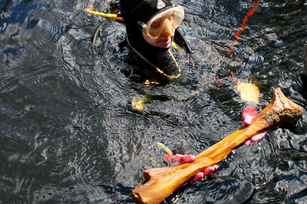 diver with a large animal bone