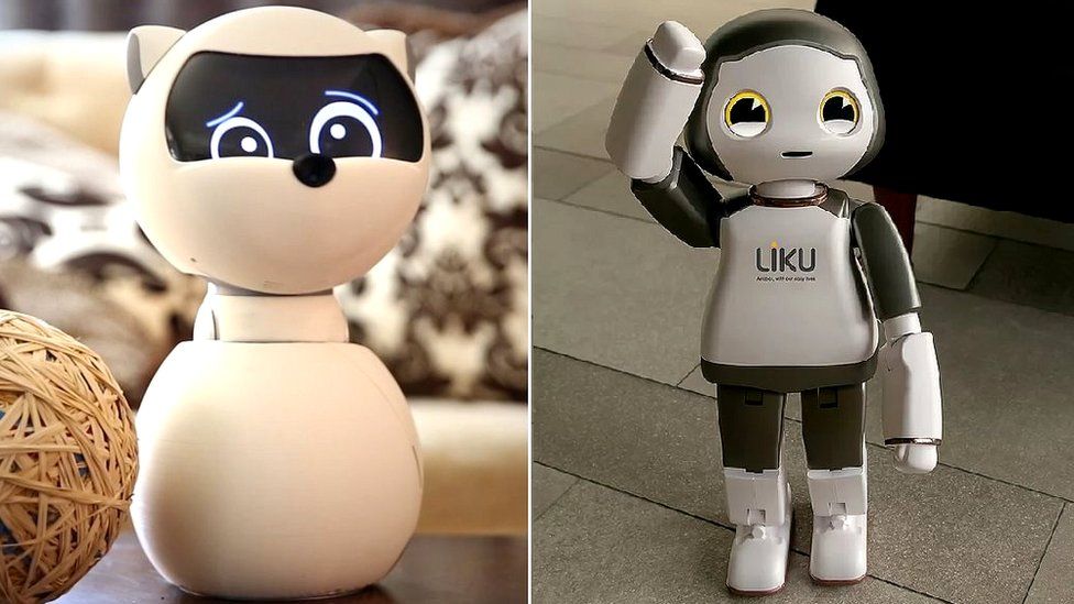 Kiki and Liku robots