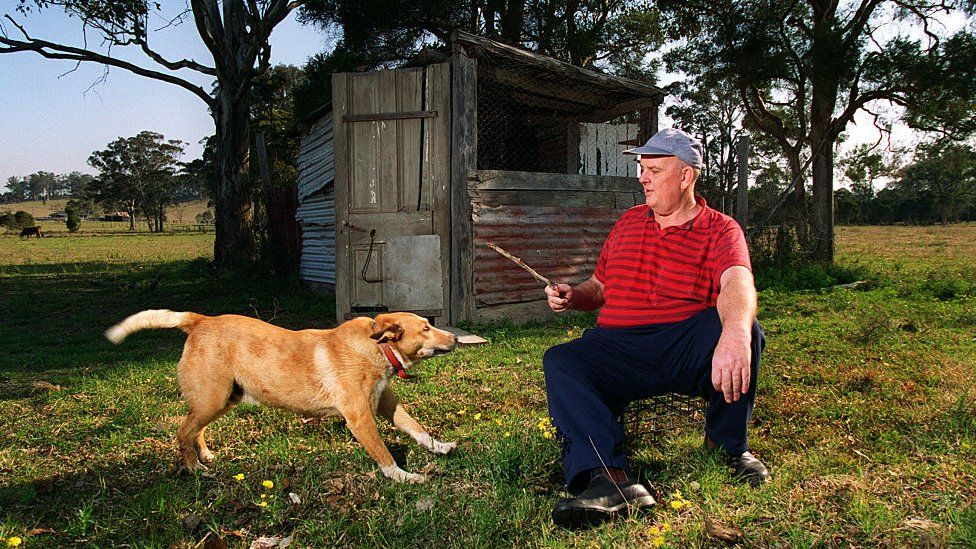 Sat outside by his chook shed, Les Murray is about to throw a stick for his dog
