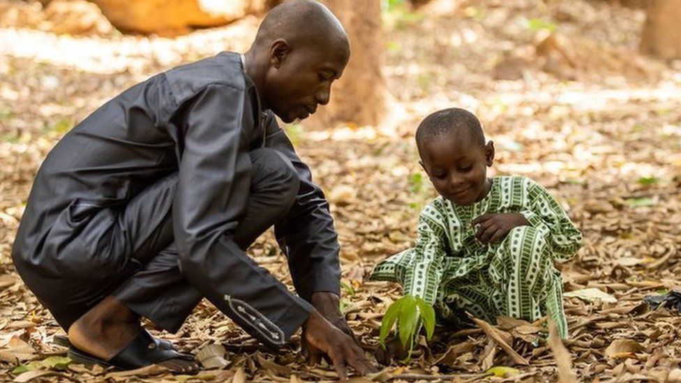 A man and a boy planting a tree