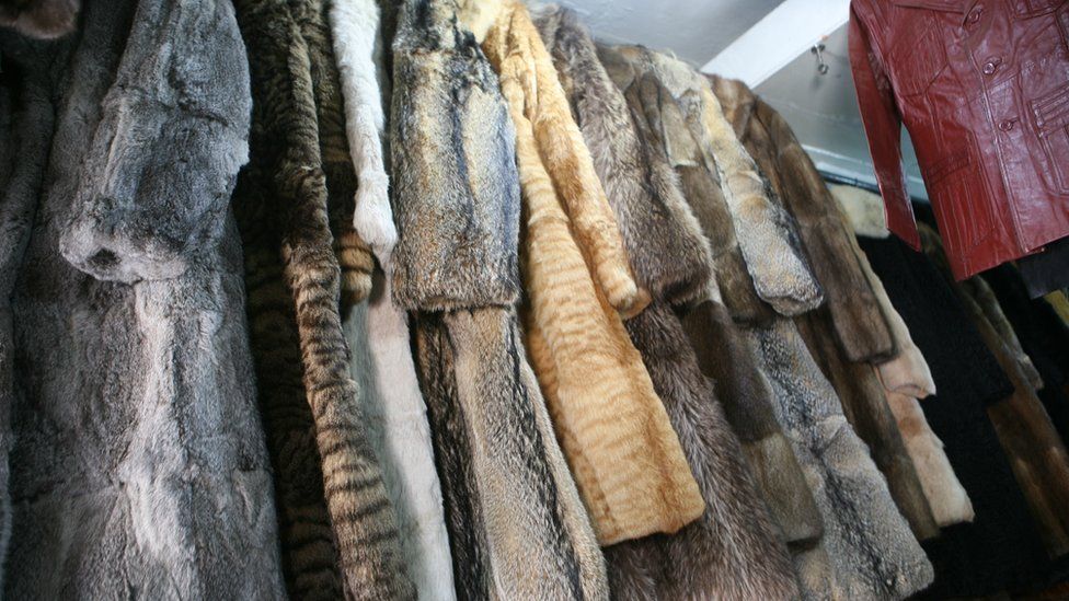 Fur coats on a rack