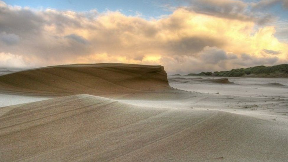 The Sands of Forvie