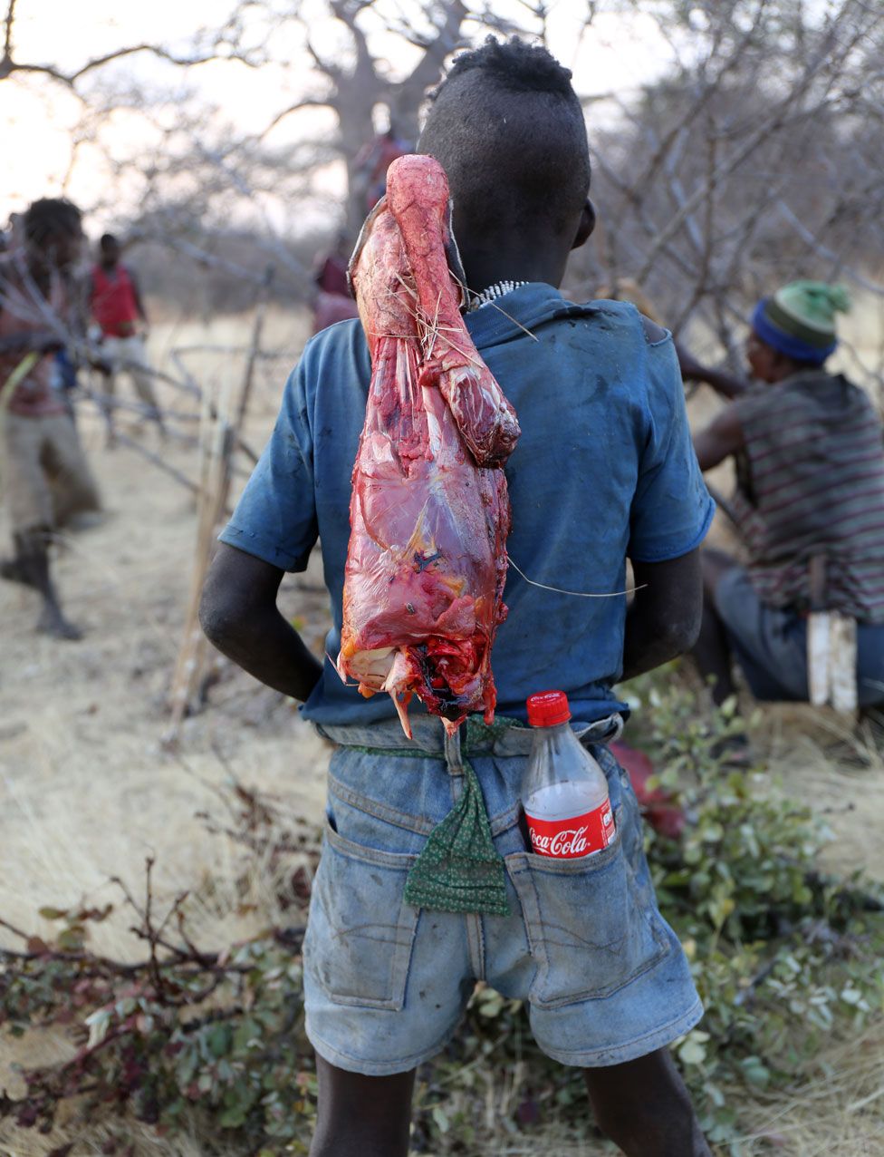 Hadza boy carrying meat and Coke bottle