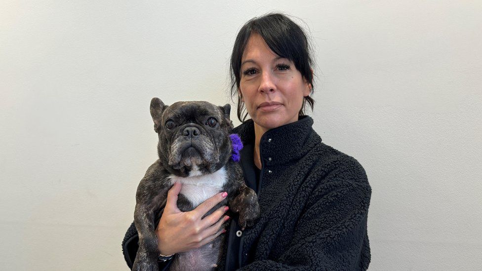 Black and white French bulldog wearing purple bow and being held by woman with medium-length black hair