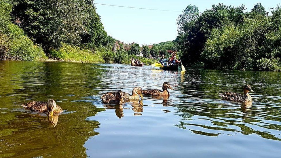 Ducks in Ironbridge