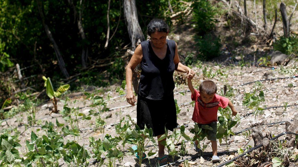 A woman and her son walk in their drought-affected plot in Honduras