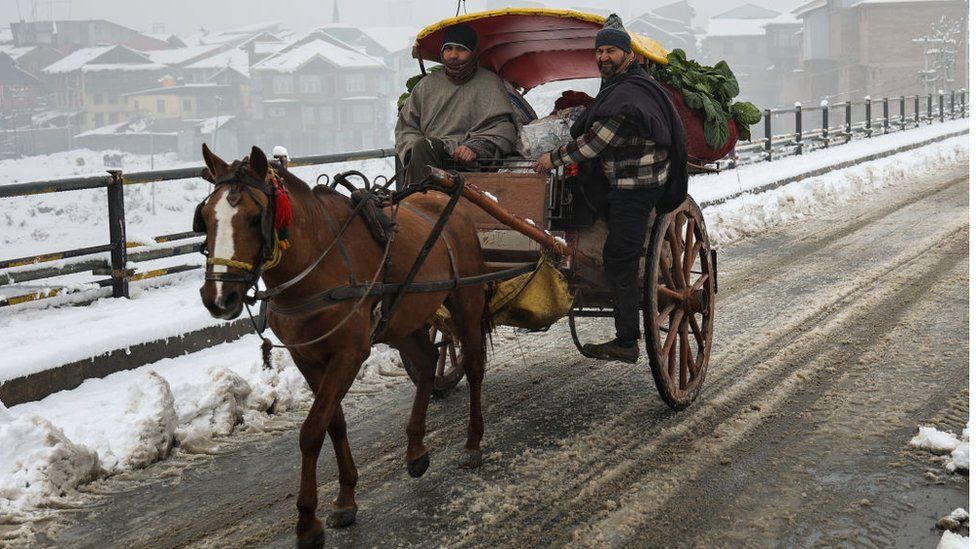 Люди несут овощи и другие продукты питания, садясь в конную повозку после свежего снегопада в сопорском районе Барамулла, Джамму и Кашмир, Индия, 30 декабря 2022 г.