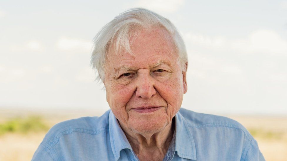 Sir David Attenborough named Champion of the Earth by UN - BBC News