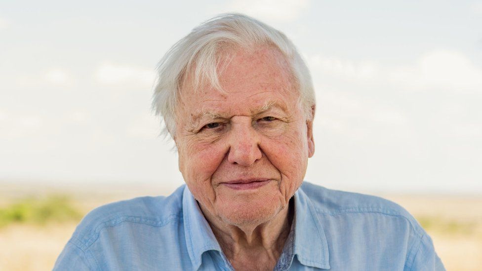 Sir David Attenborough joins Instagram to warn &#39;the world is in trouble&#39; -  BBC News