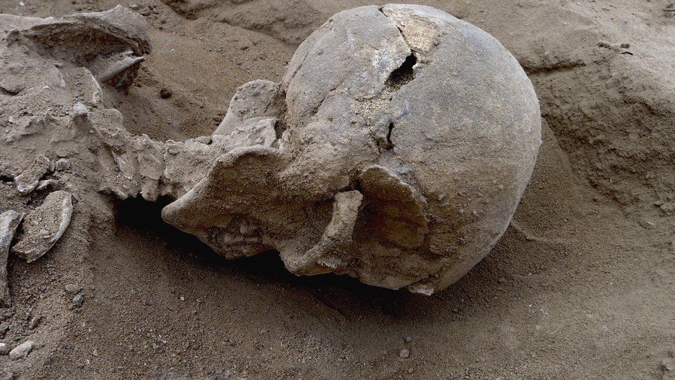 Detail of the skull of the skeleton of a man found lying prone in the sediments of a lagoon 30km west of Lake Turkana, Kenya, at a place called Nataruk