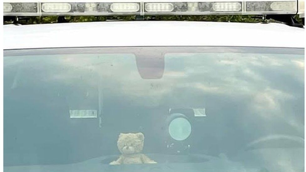Тедди в машине рейнджера