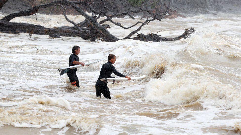 Two men jump into surf during cyclone. A fallen tree can be seen in the background