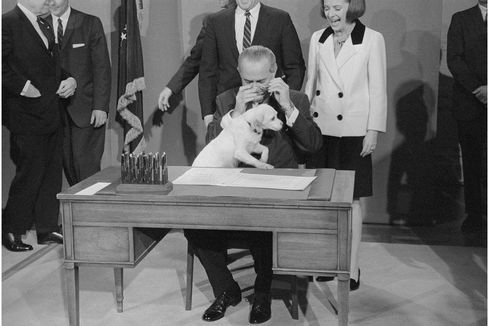 President Johnson tries to sign a bill on his desk whilst with his pet dog Yuki sits on his lap