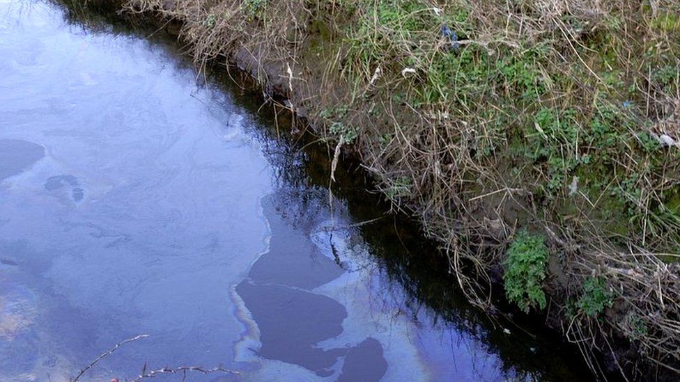 The Afon Cefni river