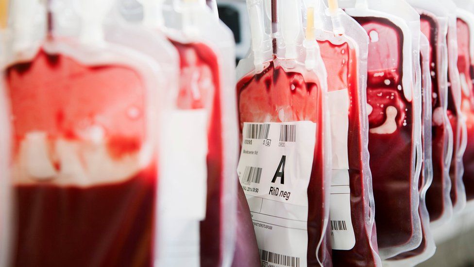 Bags of donated red blood cells hanging in a blood donation centre.