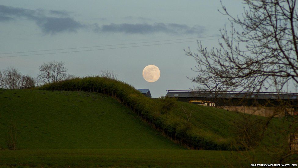 Moon rising in a field