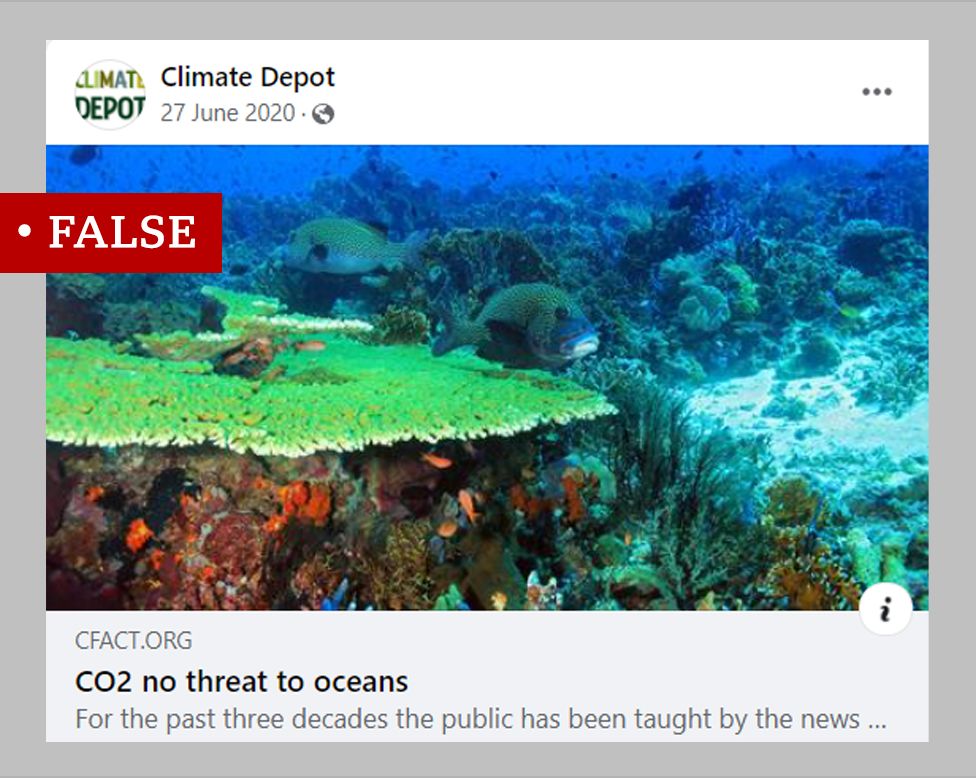 A picture of an ocean along with a false claim by a climate sceptic organisation that carbon dioxide poses no threat to ocean life