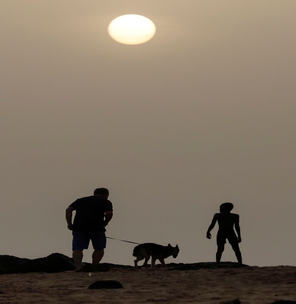 A man walks with his pet dog at the beach before the curfew in Senegal