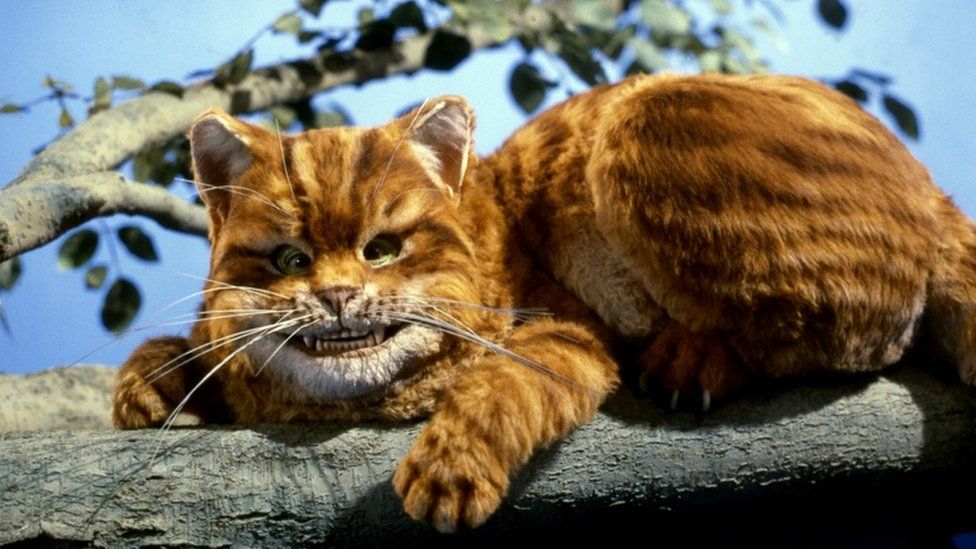 Cheshire cat (with huge grin)