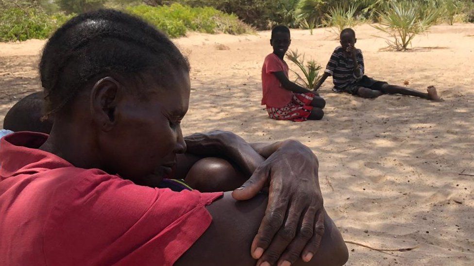 Kwa sasa wakaazi hawa wanalazimika kutuliza makali ya njaa kwa kula matunda ya mwituni yajulikanayo kama Mkoma.