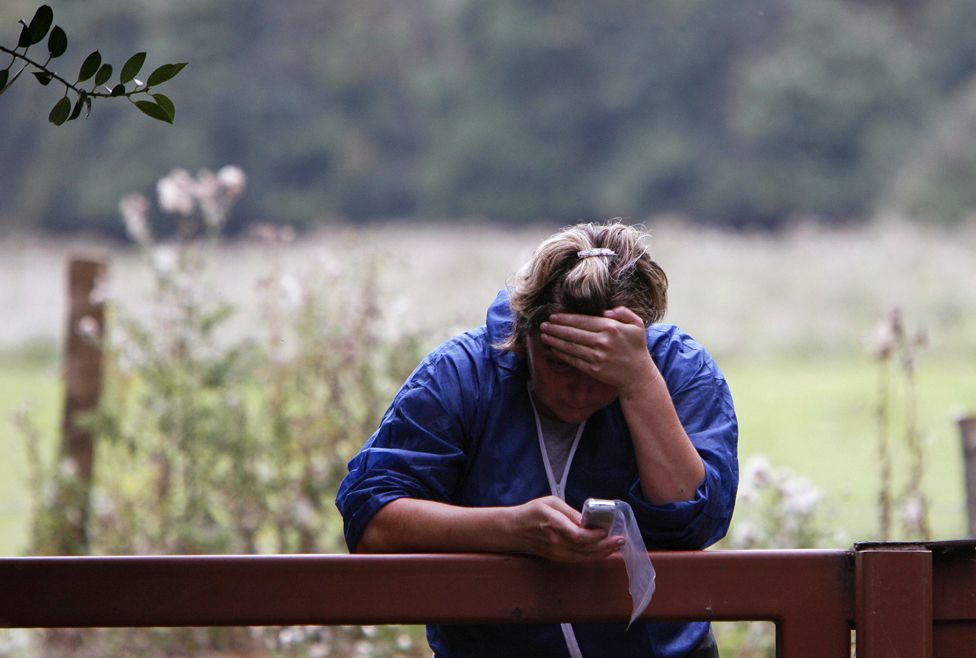 A DEFRA (Department for Environment, Food and Rural Affairs) vet operates due to an outbreak of foot and mouth disease in Egham, Surrey, 12 September 2007