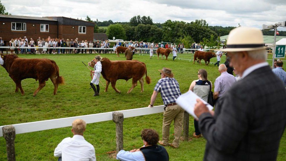 Yorkshire Show 2021