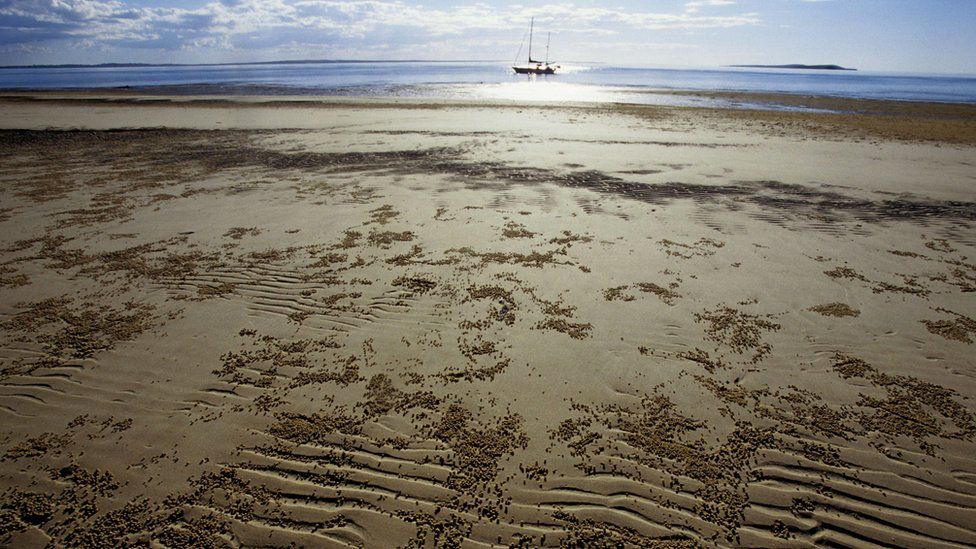 An area of coastline on Fraser Island, Queensland, Australia