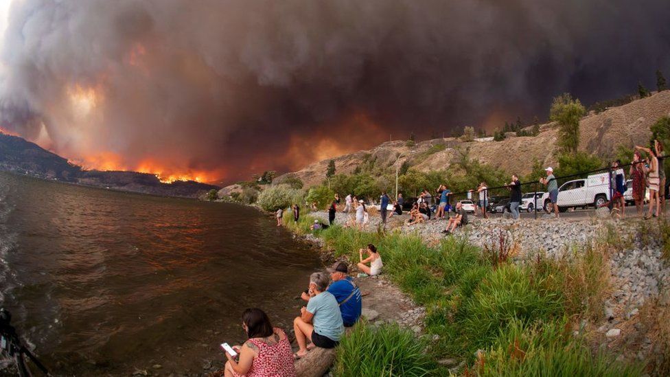 Жители наблюдают за лесным пожаром в Макдугал-Крик в Западной Келоуне, Британская Колумбия