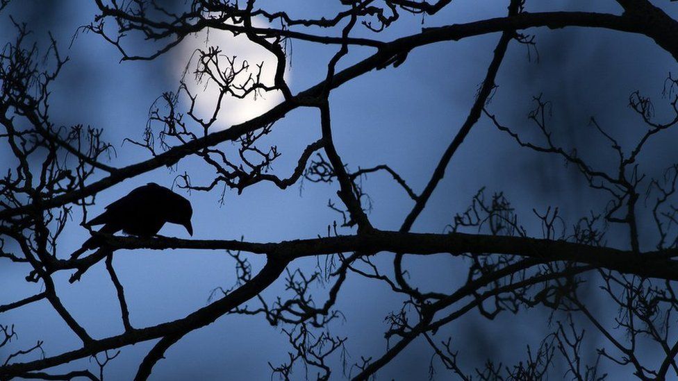 The moon and the crow