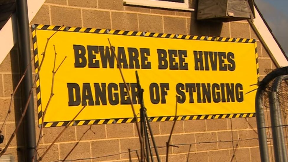 Banner warning about bee stinging.