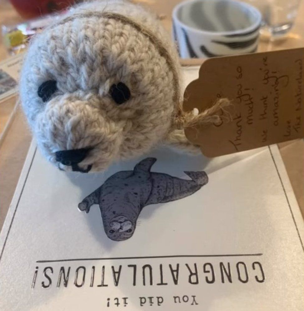 Ollie was thanked with a hand-made seal teddy made from the wool of an Alpaca from the Natureland Seal Sanctuary