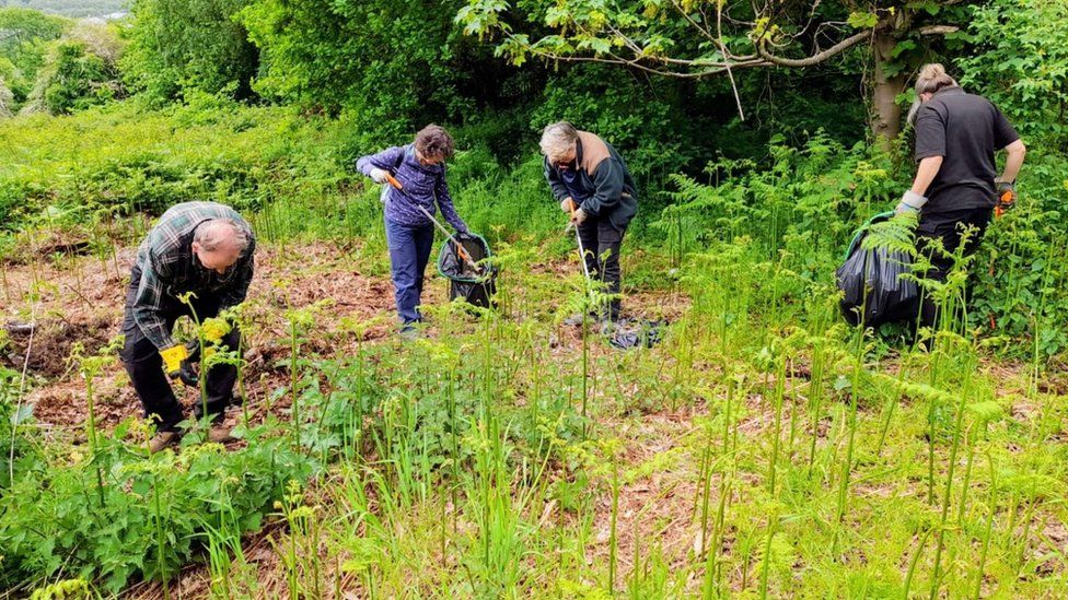 Raccolta dei rifiuti a Brierley Hill