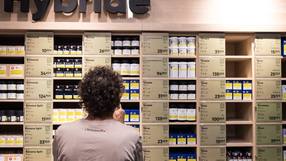 A man looks at a store shelf of cannabis products