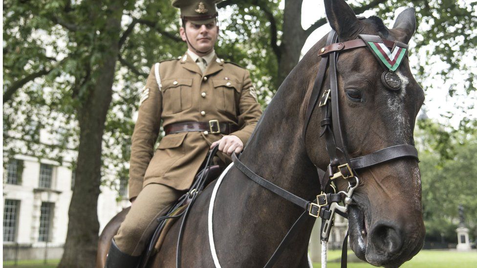 War horse Sergeant Reckless has finally been honoured for her bravery ...