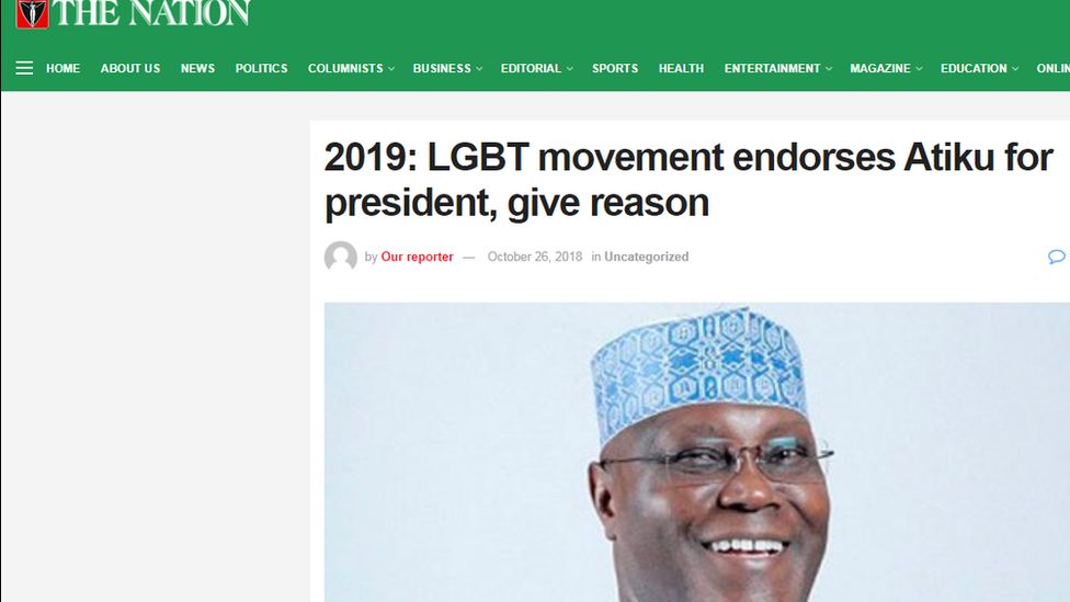 Article on Nigeria's The Nation site