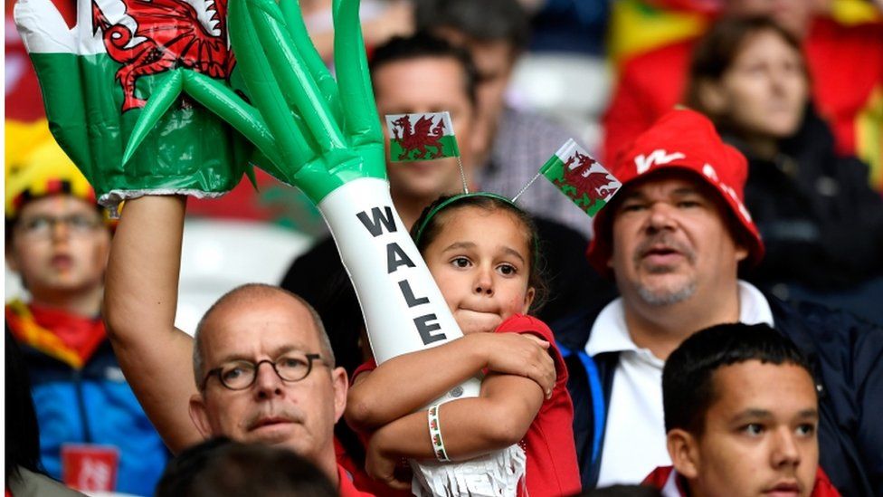 Young Wales fan at the Stade Pierre Mauroy in Lille