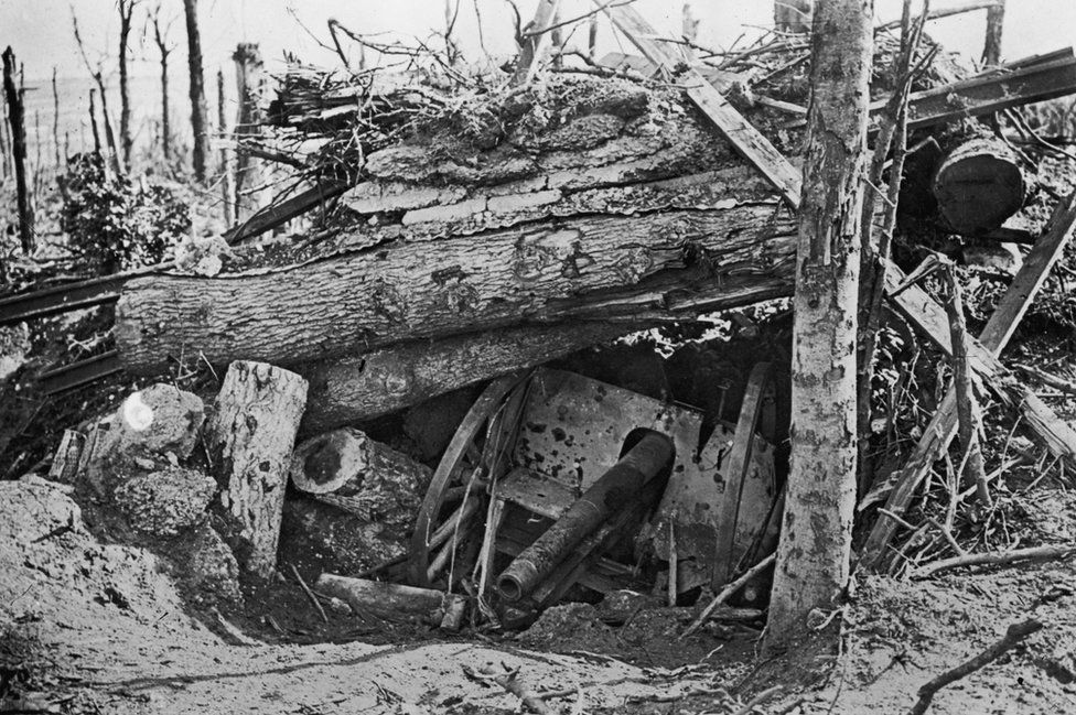 A German cannon buried under uprooted trees in Louage Wood during the offensive on the Somme, World War I, 10th October 1916