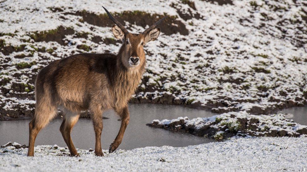 West Midlands schools and theme parks stay closed due to snow