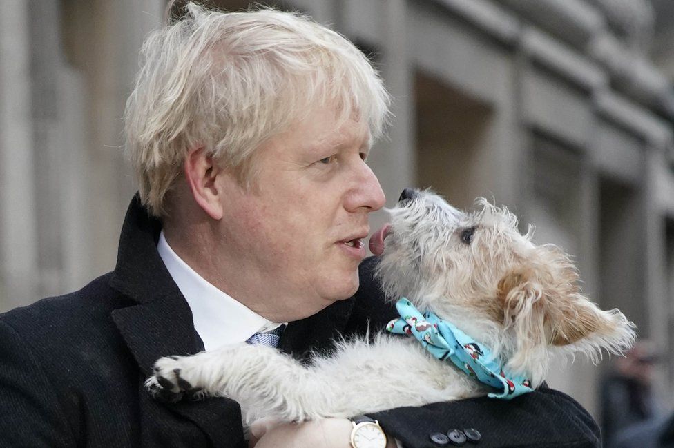 Boris Johnson outside his polling station with his dog, Dilyn