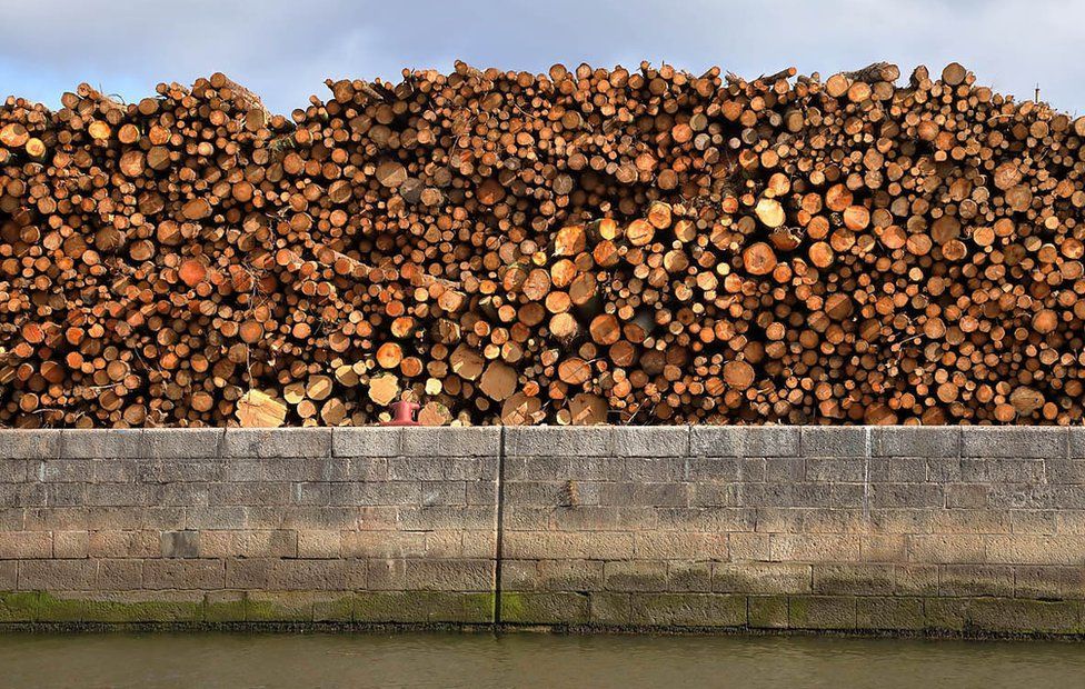Large pile of logs