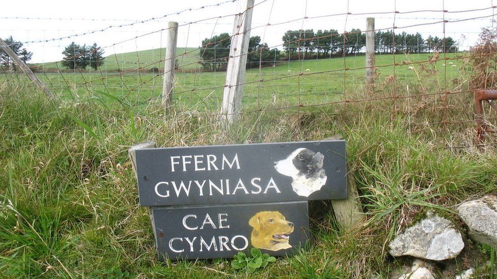 Farm sign in Gwynedd
