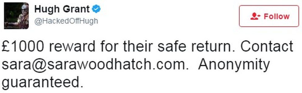 Hugh Grant tweet: "£1000 reward for their safe return. Contact sara@sarawoodhatch.com. Anonymity guaranteed."