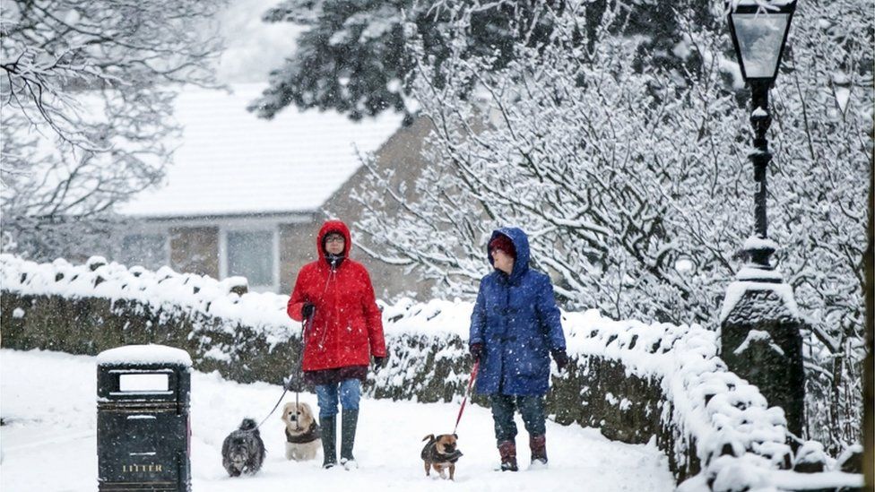 Dog walkers in snow in Knaresborough